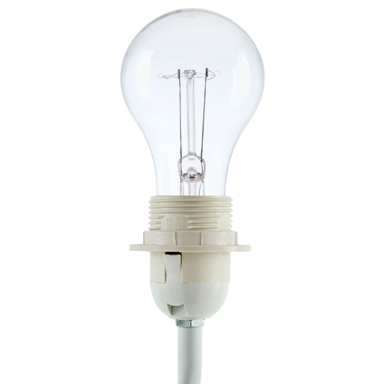 Begonia Cordless Accent Lamp White 20in