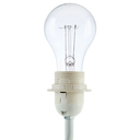 Begonia Cordless Accent Lamp White 20in