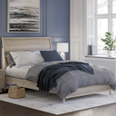 Hasbrick Queen Panel Bed
