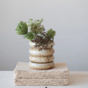 Hand Painted Stoneware Planter 12in 