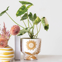Sunflower Footed Planter 5.5in 