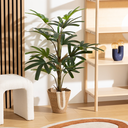 Bamboo in Pot 47in
