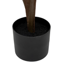 Bamboo in Pot 47in