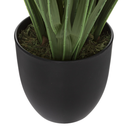 Bamboo in Pot 47in