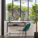 Fig Tree in Pot 70in