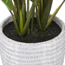 Peace Lily in Concrete Pot 21in