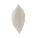 Ion Bolster Ivory 14x26in
