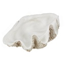 Large Clamshell Bowl 34in