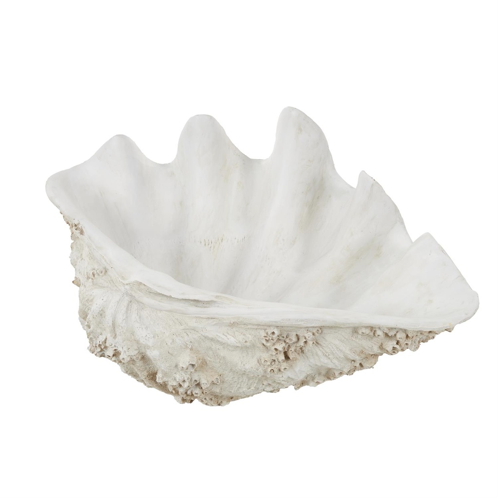 Large Clamshell Bowl 34in