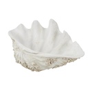 Large Clamshell Bowl 34in