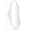 Organic Shape Wall Mirror Gold Frame 20x48in