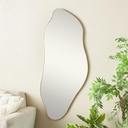 Organic Shape Wall Mirror Gold Frame 20x48in