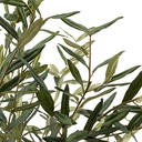 Martin Olive Tree in Black Pot 82.6in