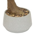 Polin Bonsai Tree in Ceramic Pot 17.7in
