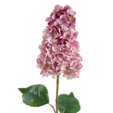 Cone Hydrangea Spray Pink 28in