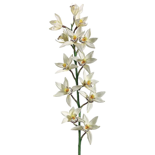 Cymbidum Orchid Spray Cream 38in