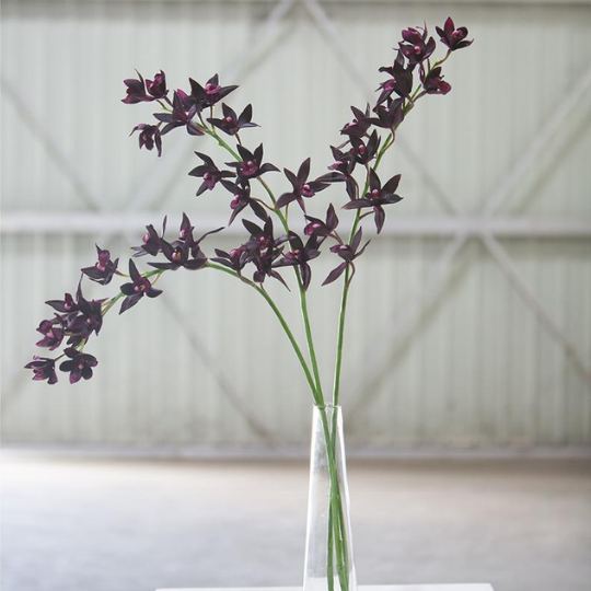 Cymbidum Orchid Spray Plum 38in