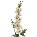 Delphinium Spray White 35in