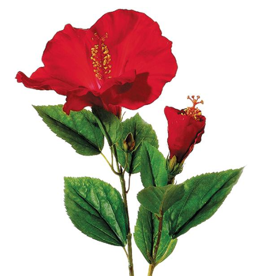 Hibiscus Spray Red 26in