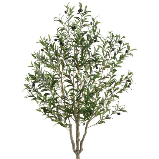 Olive Tree 63in