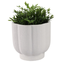 Scallop Shaped Planters 6in