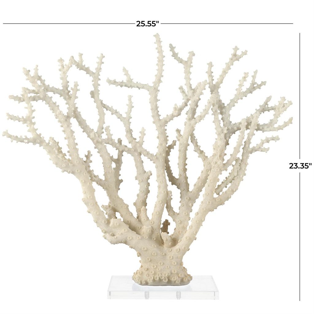 Cream Coral Sculpture With Acrylic Base 26x23in