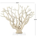 Cream Coral Sculpture With Acrylic Base 26x23in