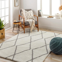 Cloudy Shag Rug Cream & Grey 8 x10ft