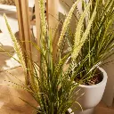 E-Com Web Images (DANNIELLA) (15).webp