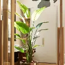 E-Com Web Images (DANNIELLA) (41).webp