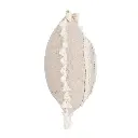 55.webp