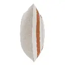 9.webp