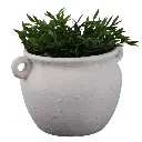 Textured Stoneware Jug Planter 10in (2).webp