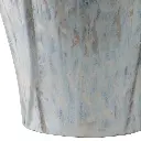 5.webp