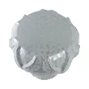 7.webp