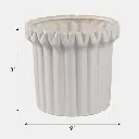 7.webp