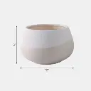 7.webp