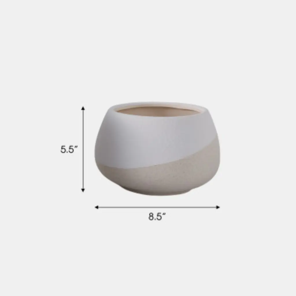 8.webp