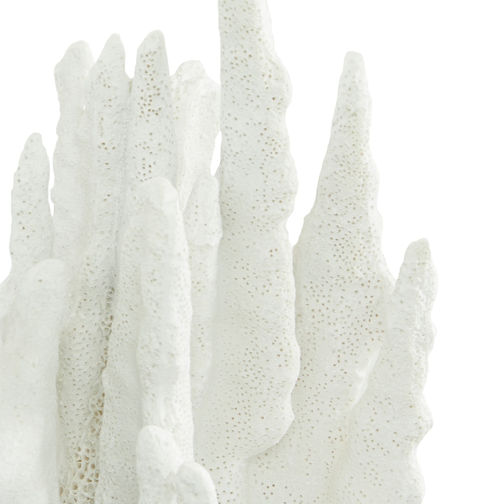 White Coral Accent 10in