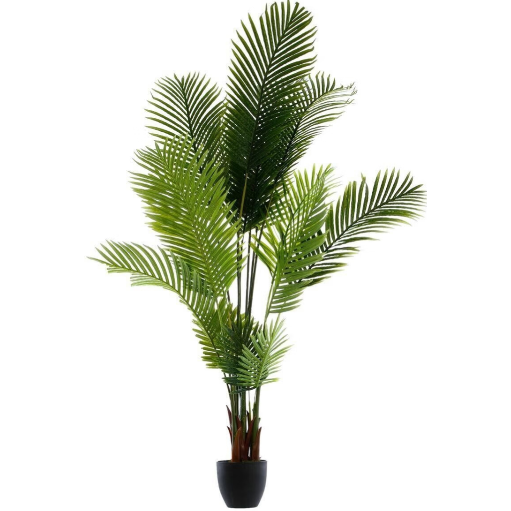Palm Tree in Pot 170cm