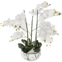 White Orchid in Marble Pot 65cm