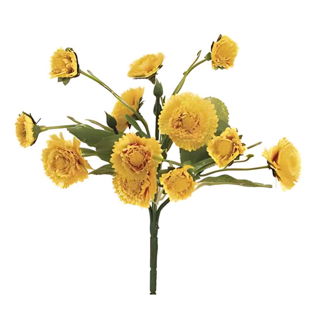 Calendula Bush Yellow 8in