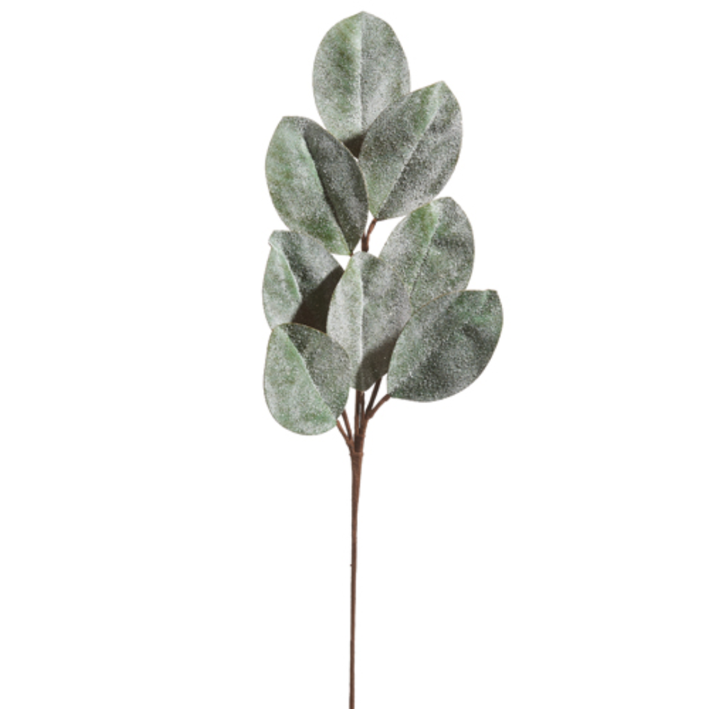Iced Magnolia Leaf Spray 25in