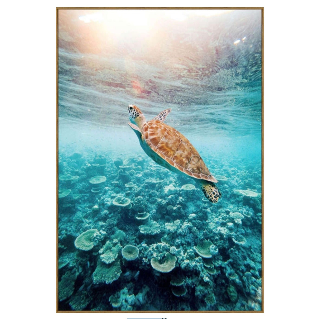 Sea Turtle II Framed Print on Tempered Glass 34x50in