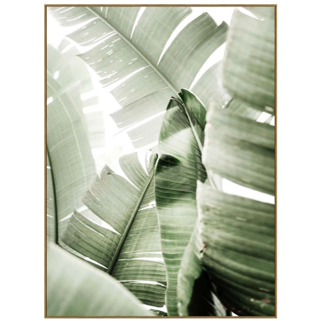 Banana Leaf III Framed Print on Tempered Glass 40in x 54in
