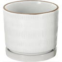 Ceramic Dot & Line Planter White 4in