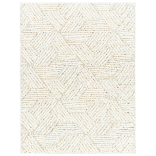 Cloudy Shag Rug 8x10ft