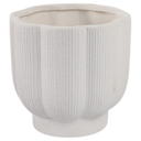 Scallop Shaped Planters 8in