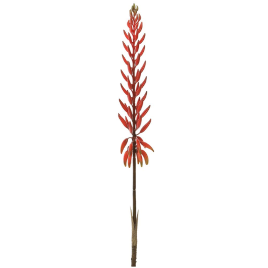 Agave Flower Spray 28in