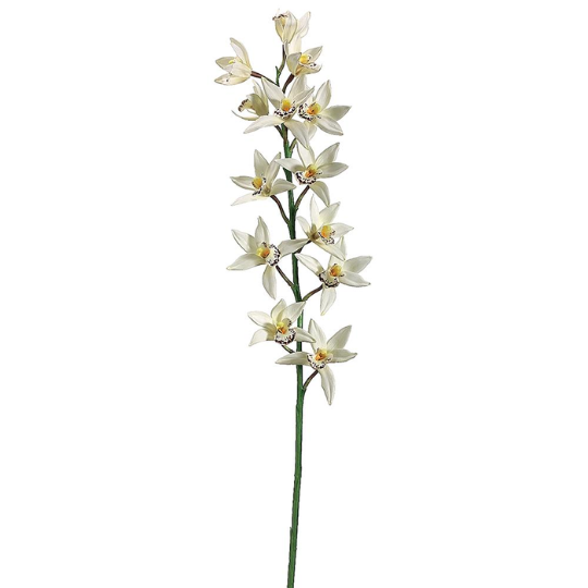 Cymbidum Orchid Spray Cream 38in